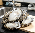 Premium Live Oysters