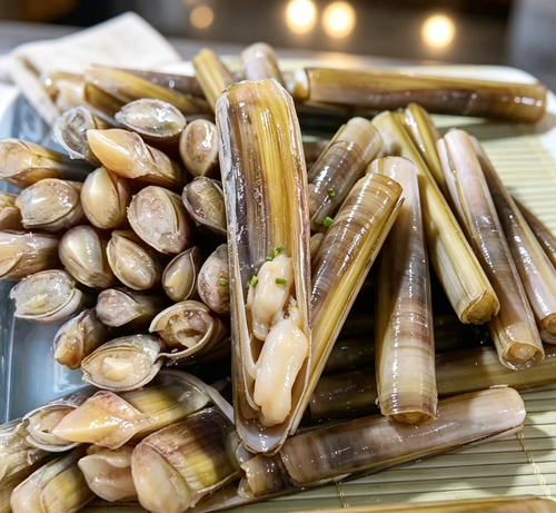Fresh Bamboo Clams